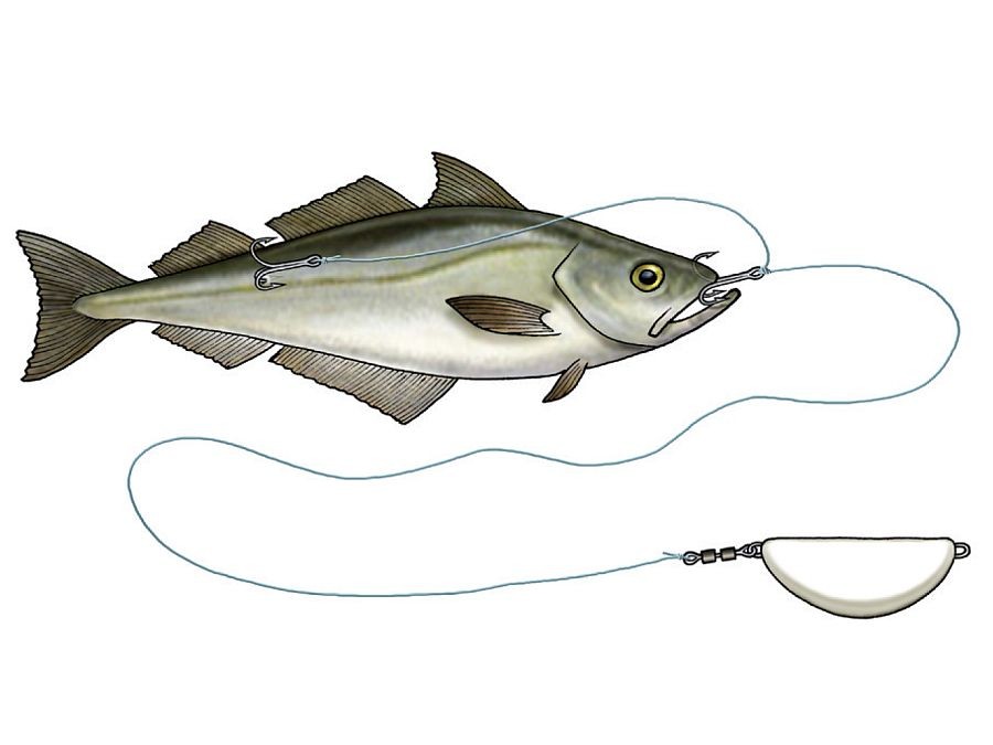 Westin Halibut Anti Twist Rig / 250g 300g 350g / VMC hooks eBay