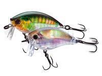 24 series of Yo-Zuri, new lures from Salmo