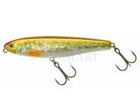 Illex Water Monitor 95 Lures
