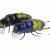 Microbait Hard lures Chafer