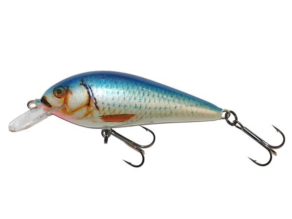 Kenart Pill 3cm 4g cavedano Esche per trota floating crankbait