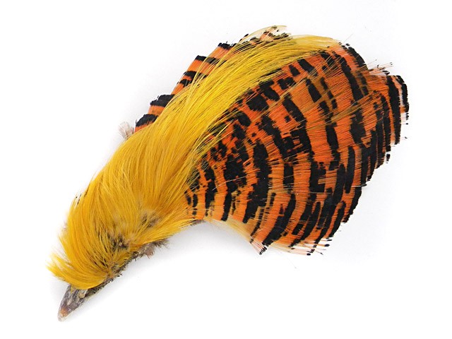 Veniard Golden Pheasant  Fly Tying Materials 