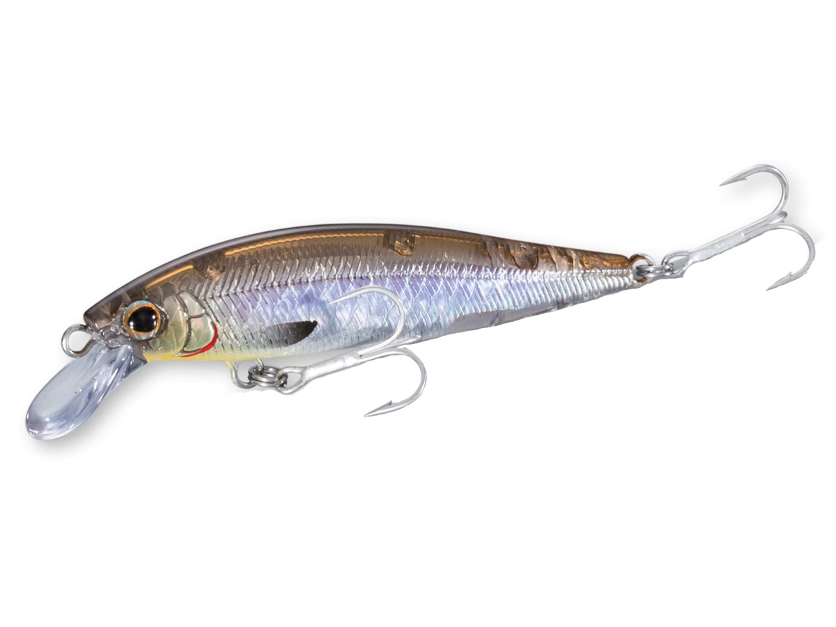 Shimano Cardiff Area Limited S60XUL-FF – JDM TACKLE HEAVEN
