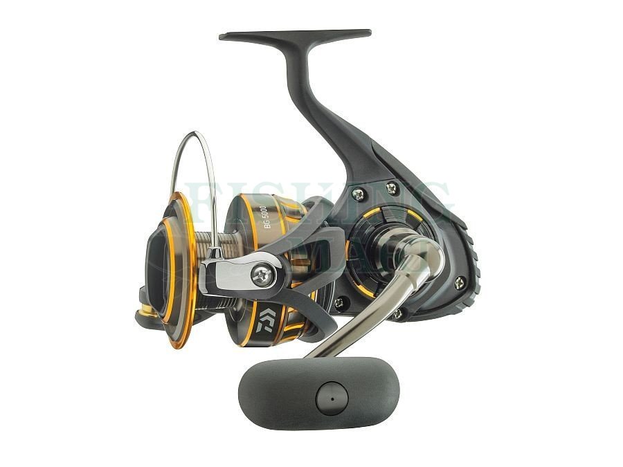 Daiwa BG5000 BG Saltwater Spinning Reel, 5000, 5.7: 1 Gear Ratio