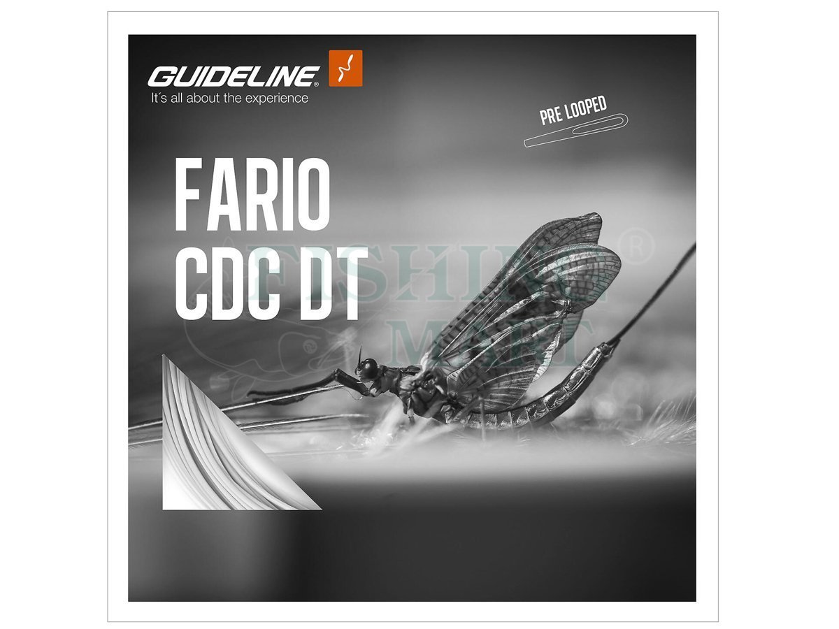 Guideline Fario CDC DT - Fly Lines - FISHING-MART