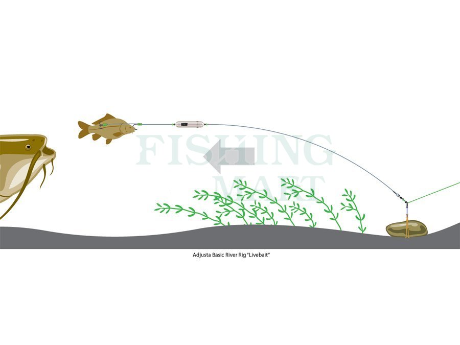 DAM Madcat MADCAT Adjusta Basic River Rig - Catfish Rigs - FISHING-MART