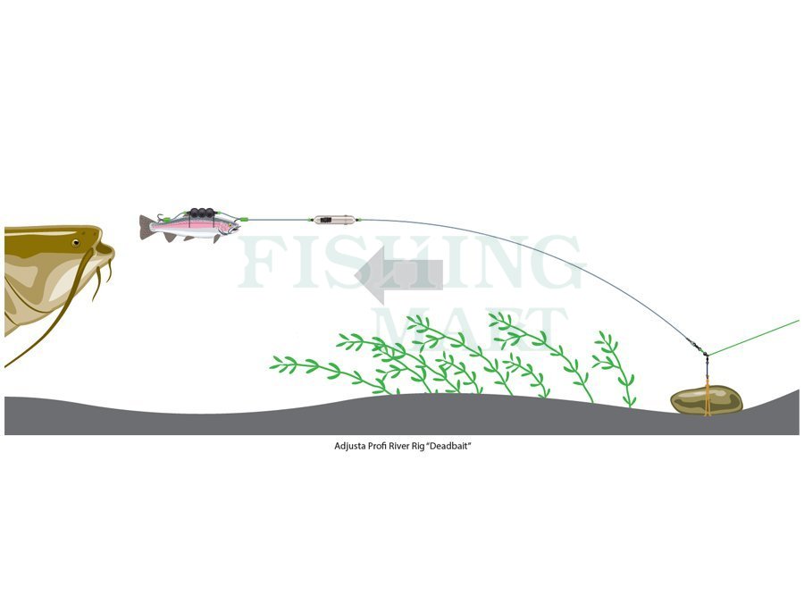 DAM Madcat MADCAT Screaming Profi River Rigs “Dead Bait” - Catfish Rigs -  FISHING-MART