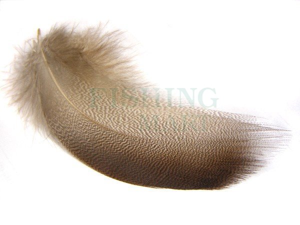 MDBSx Veniard Bronze Mallard Fly Tying and Craft Feathers 3 Sizes 