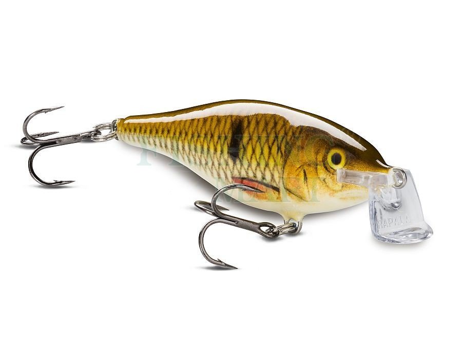 Rapala Shallow Shad Rap - Lures crankbaits - FISHING-MART