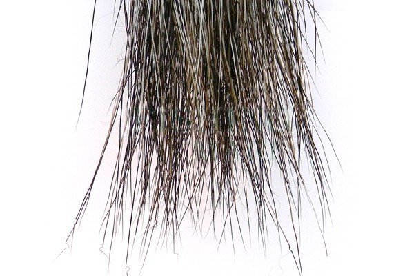 Wapsi Moose Hair - Materials - hairs, furs - FISHING-MART