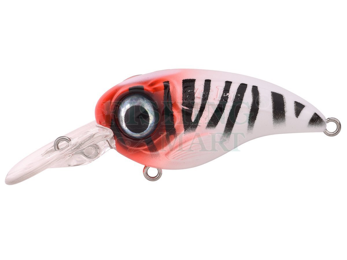 SPRO Fat Iris 60 / 80 CR - Lures crankbaits - FISHING-MART