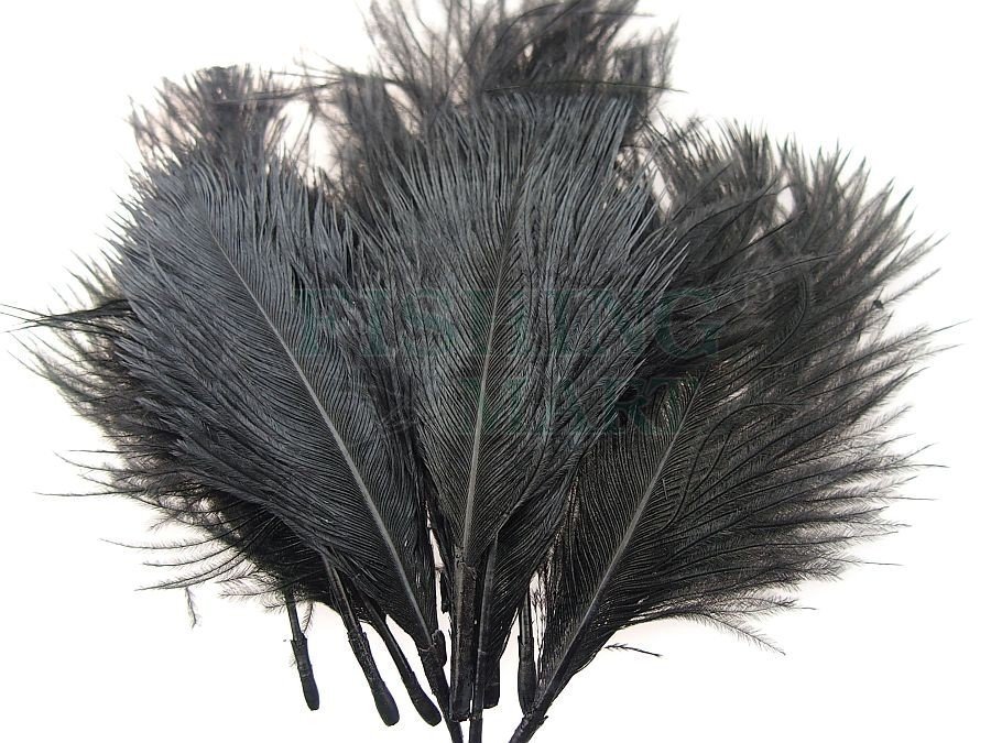 Wapsi Ostrich Plumes - Black