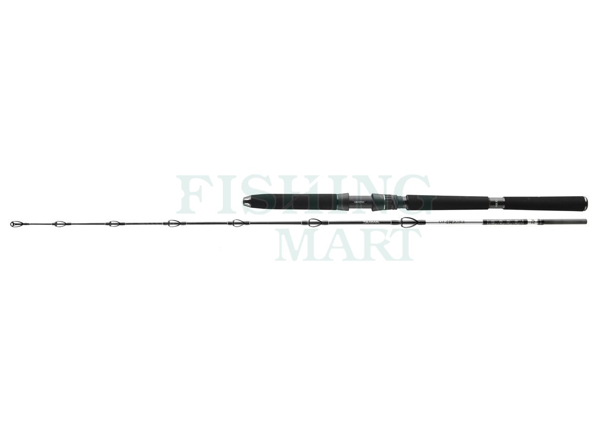 Daiwa BG Deep Sea - Sea fishing Rods - FISHING-MART
