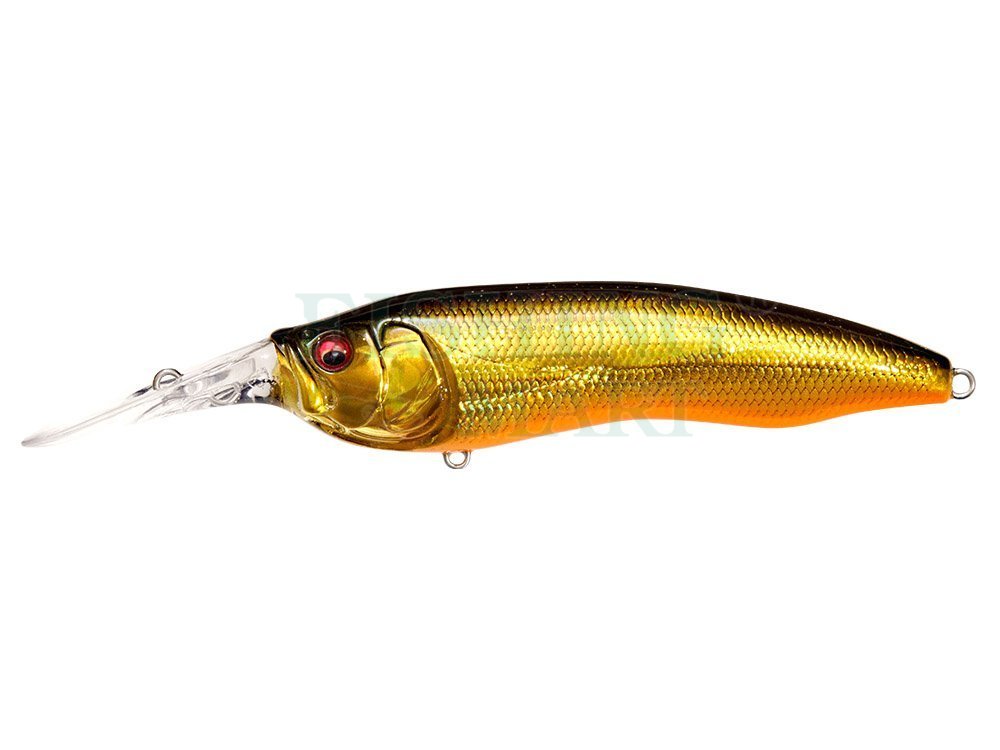 Megabass Live-X Model 1 - Lures crankbaits - FISHING-MART