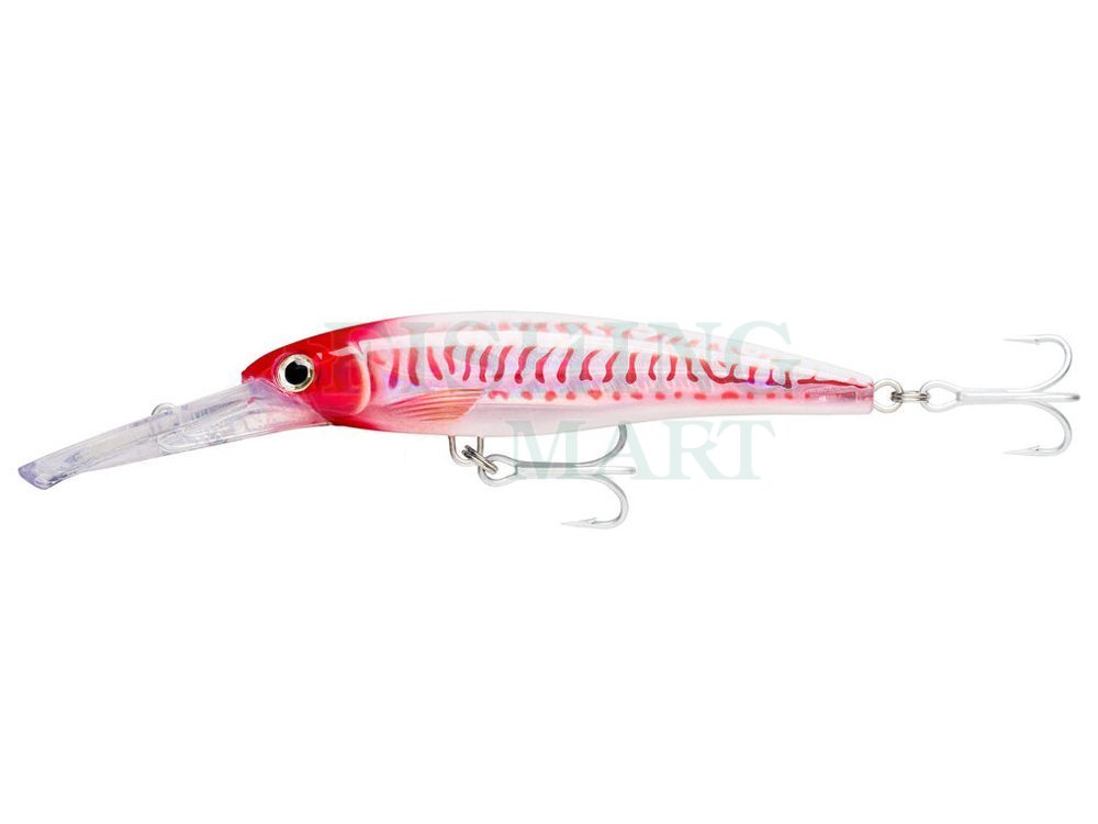 Rapala X-Rap Magnum - Lures crankbaits - FISHING-MART