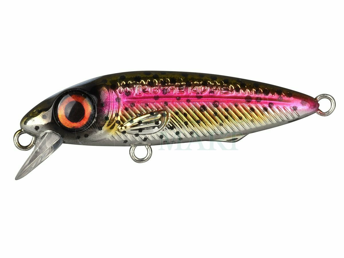 SPRO Iris The Kid - Lures crankbaits - FISHING-MART