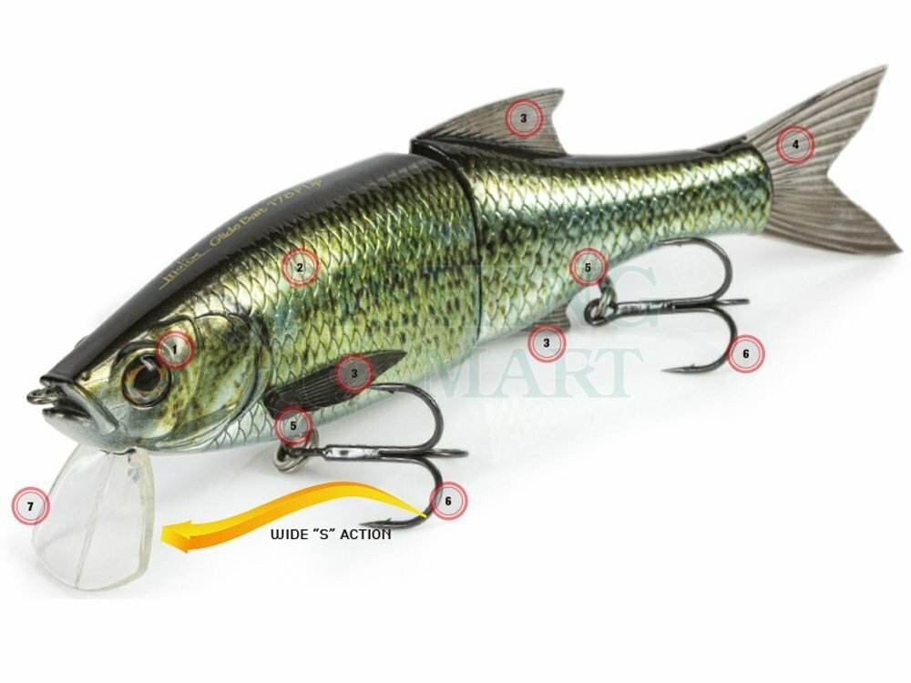 Molix Glide Bait 178 Lip - Jointed lures - FISHING-MART