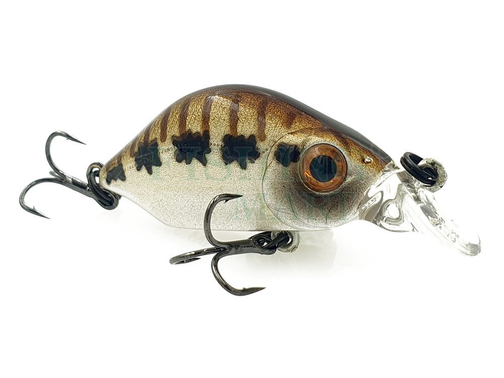 Daiwa SC Shad Jerkbait - Rainbow Trout