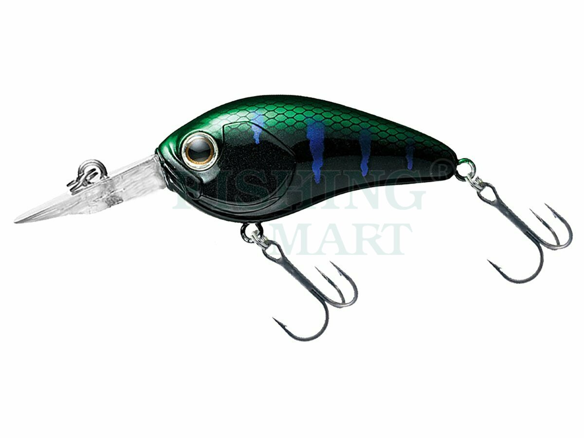 Daiwa Steez System Crank 100F-SR - Lures crankbaits - FISHING-MART