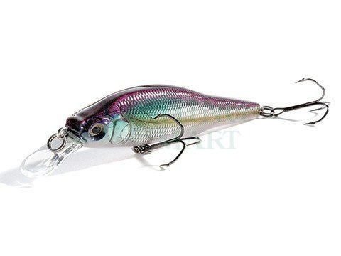 https://www.fishing-mart.com.pl/storage/thumbs/2x1200x1200x0/x-80-trick-darter-1421755861.jpg