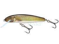 Wobler Salmo Minnow Floating 7 | 7cm 6g | 2 3/4" 3/16oz - Grayling