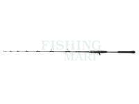 Wędka Penn Regiment IV Jigging Casting 1.67m Max 300g