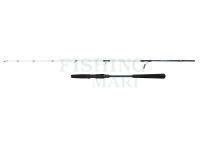 Wędka Penn Battalion III Jigging Spinning 1.83m max 210g