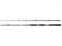 Wędka Abu Garcia Beast Pike Jerkbait Casting 1.98m 40-90g