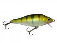 Gloog Hard lure Ares 70 SR