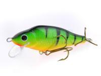 Gloog Ares SR1 lures