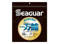 Fluorocarbon Seaguar Premium Manyu 30m 0.66mm PE: #16