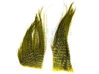Bugger Hackle Patches - Grizzly Olive
