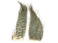 Hareline Dubbin Bugger Hackle Patches