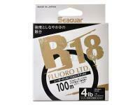 Seaguar R18 Fluoro Ltd 100m 2.5lb 0.128mm #0.6