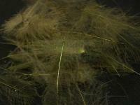 Cul de Canard #28 Blue Winged Olive