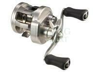 Daiwa 26 Ryoga 100PL