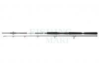 Rod Daiwa BG Offshore Boat 2.10m 150-400g