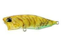 Hard Lure DUO Realis Popper 64 SW Limited 64mm 9g - CCC0343 Prawn