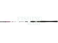 Sea fishing rod Penn Squadron II SW Spin 3.00m 20-80g