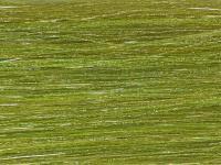 Future Fly Salmo Flash - Olive