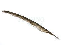 Wapsi Pióra Golden Pheasant Tail Piece