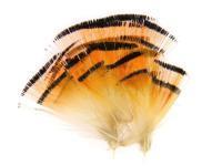 Wapsi Pióra Golden Pheasant Tippets