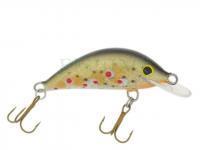 Lure Gloog Hektor 35NF-TN1