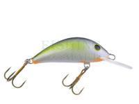 Wobler Gloog Hektor 50NS-RGF