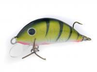 Gloog Hektor SR lures