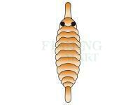 Hemingway`s Gammarus back - Orange