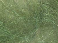 Hemingway`s Peacock Dubbing - 01 Green