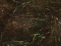 Hemingway`s Peacock Dubbing - 02 Bronze