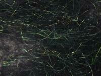 Hemingway`s Peacock Dubbing - 04 Black