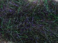 Dubbing FMFly Sparkle Dub - Rainbow Black